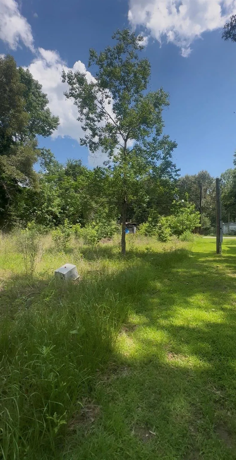 277 Magnolia Park Onalaska, TX 77360