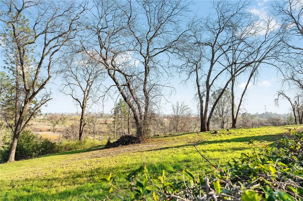 316 Memphis Drive Paradise, CA 95969