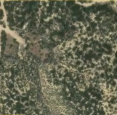 Dickson Hills Road