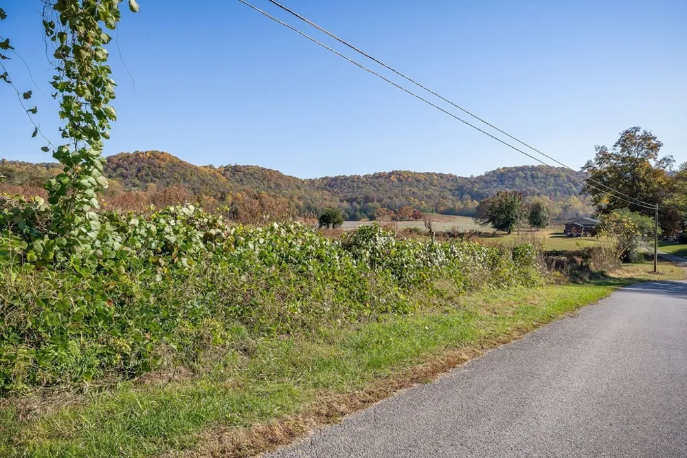 0 Webbs Camp Road Walling, TN 38587