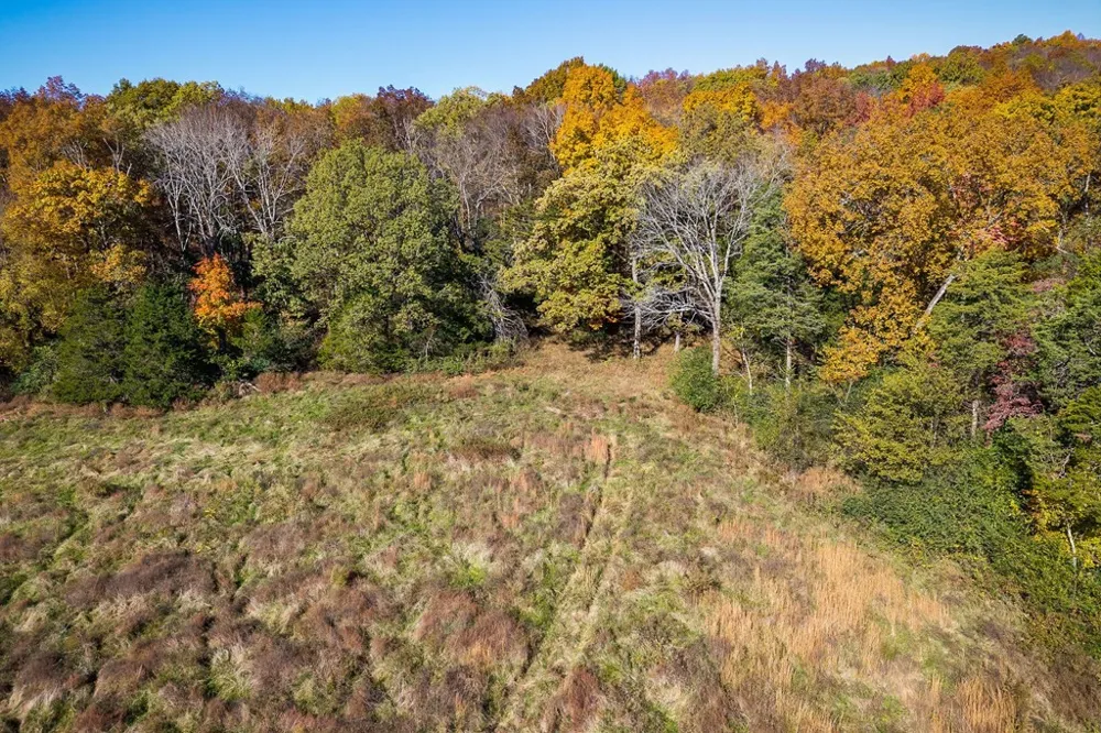 0 Webbs Camp Road Walling, TN 38587