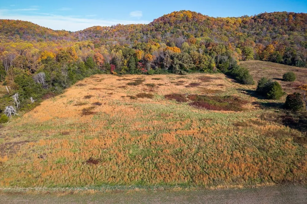 0 Webbs Camp Road Walling, TN 38587