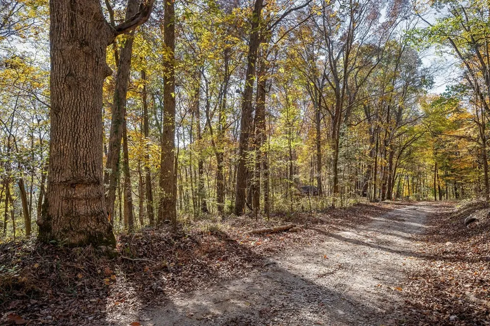 0 Webbs Camp Road Walling, TN 38587