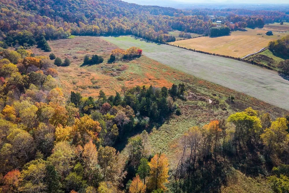 0 Webbs Camp Road Walling, TN 38587