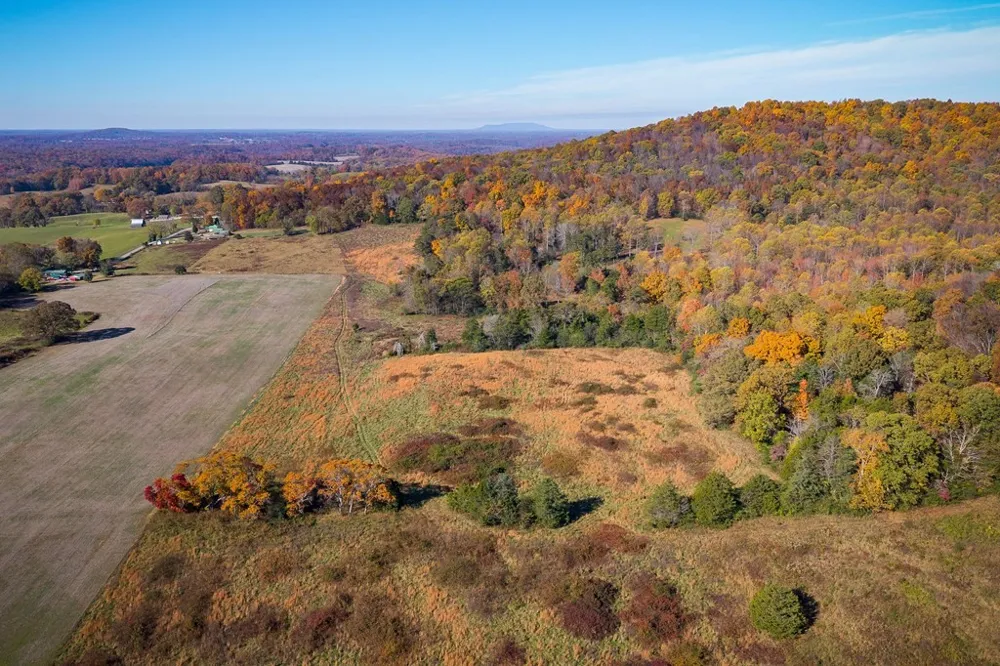 0 Webbs Camp Road Walling, TN 38587