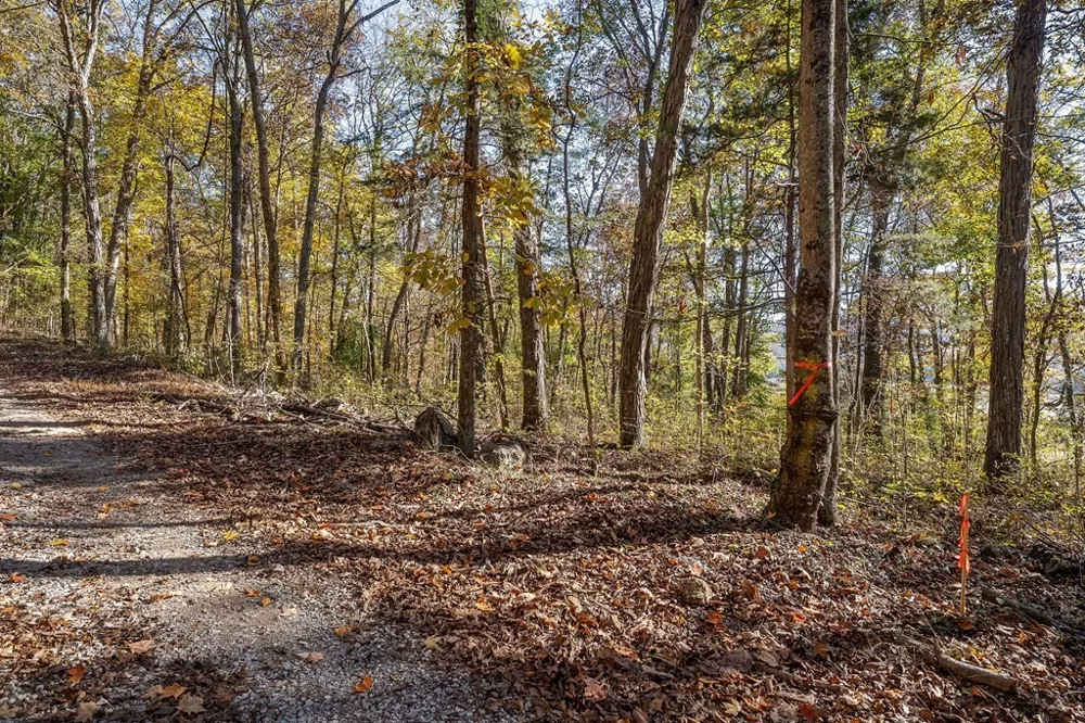 0 Webbs Camp Road Walling, TN 38587