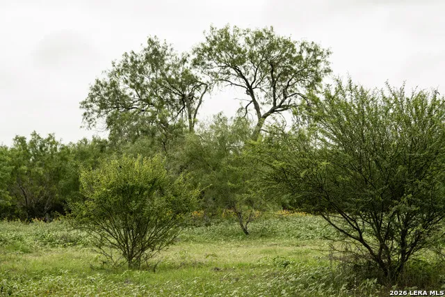 478_498 Cr 7421 Yancey, TX 78886