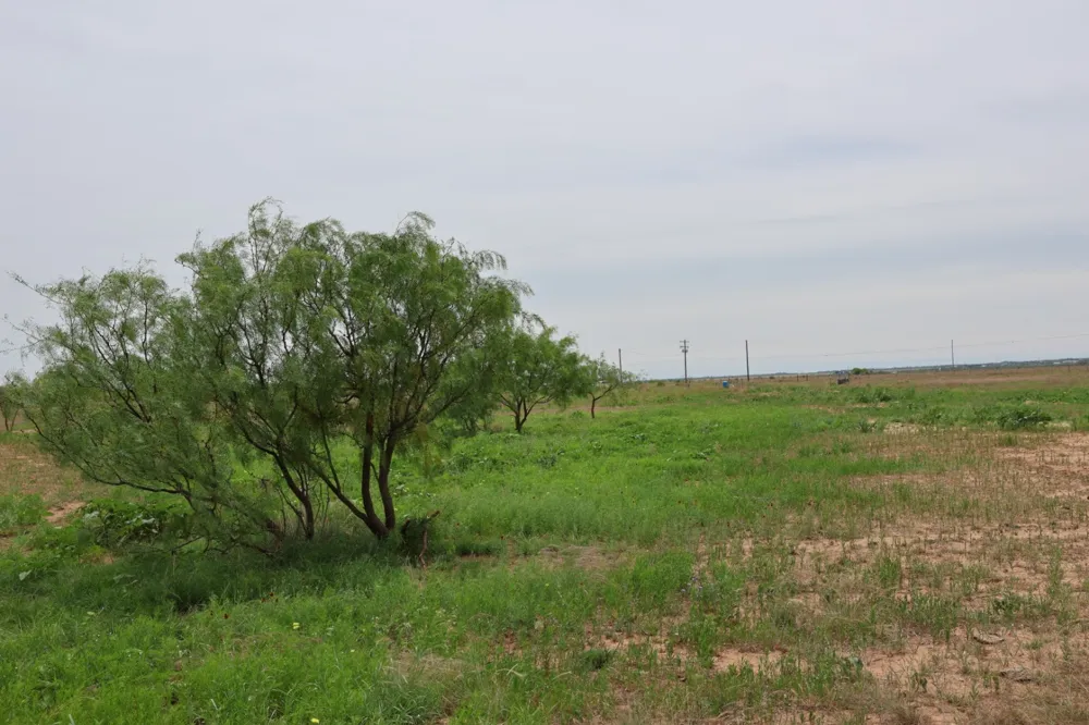 13558 County Road 440 Merkel, TX 79536