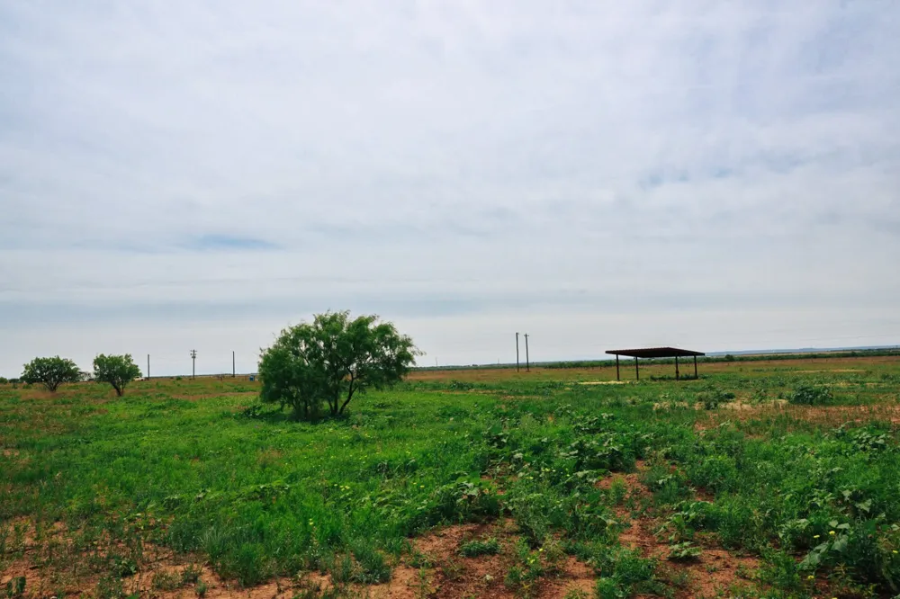 13558 County Road 440 Merkel, TX 79536