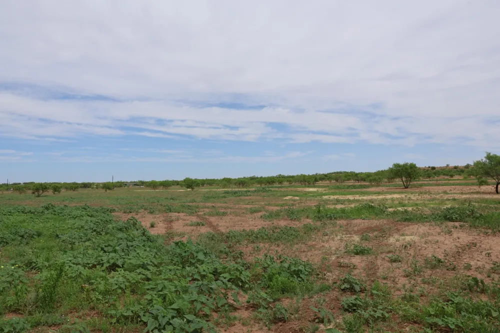 13558 County Road 440 Merkel, TX 79536