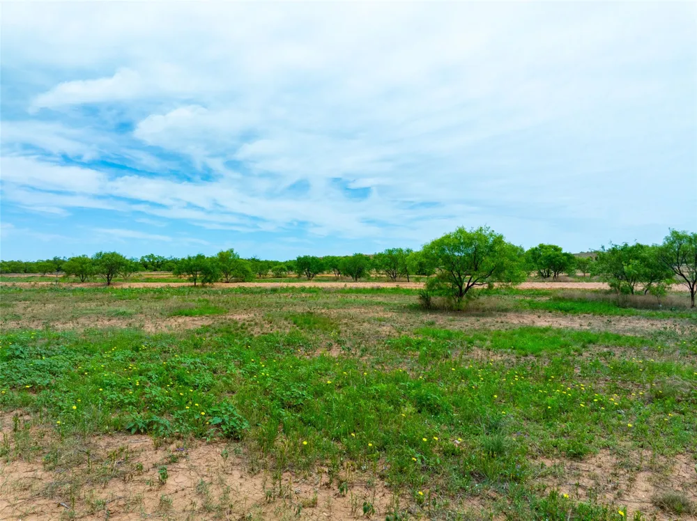 13558 County Road 440 Merkel, TX 79536