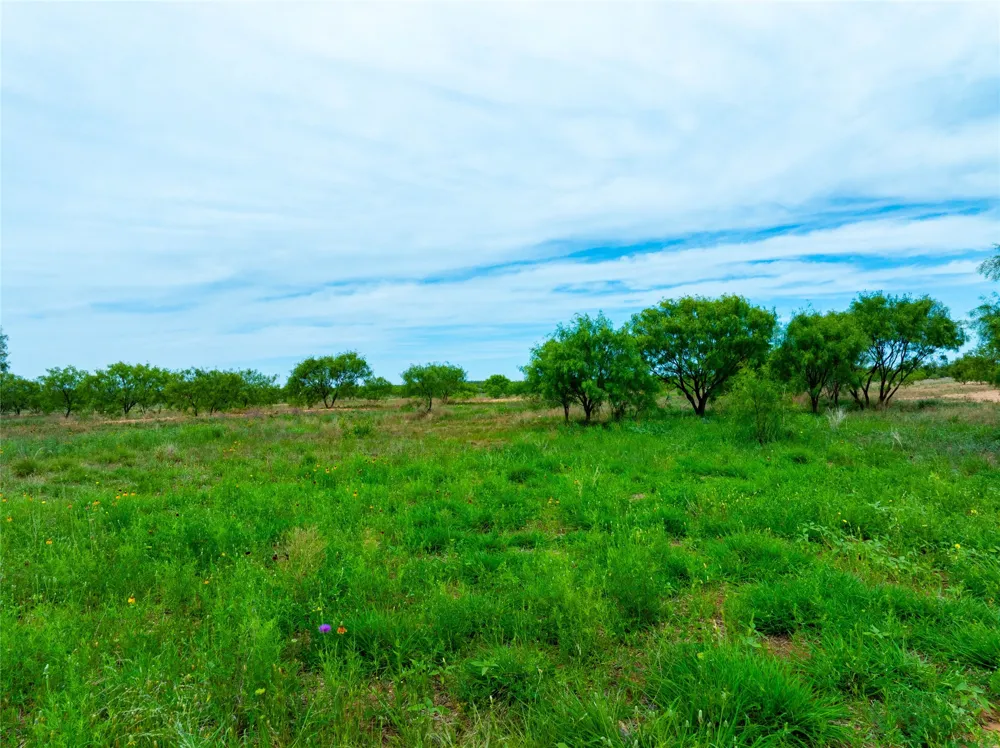 13558 County Road 440 Merkel, TX 79536