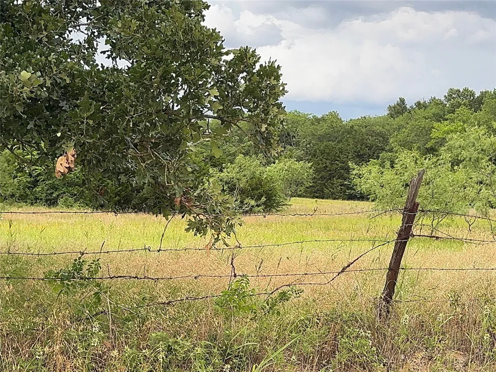 Co Rd 312 Terrell, TX 75161