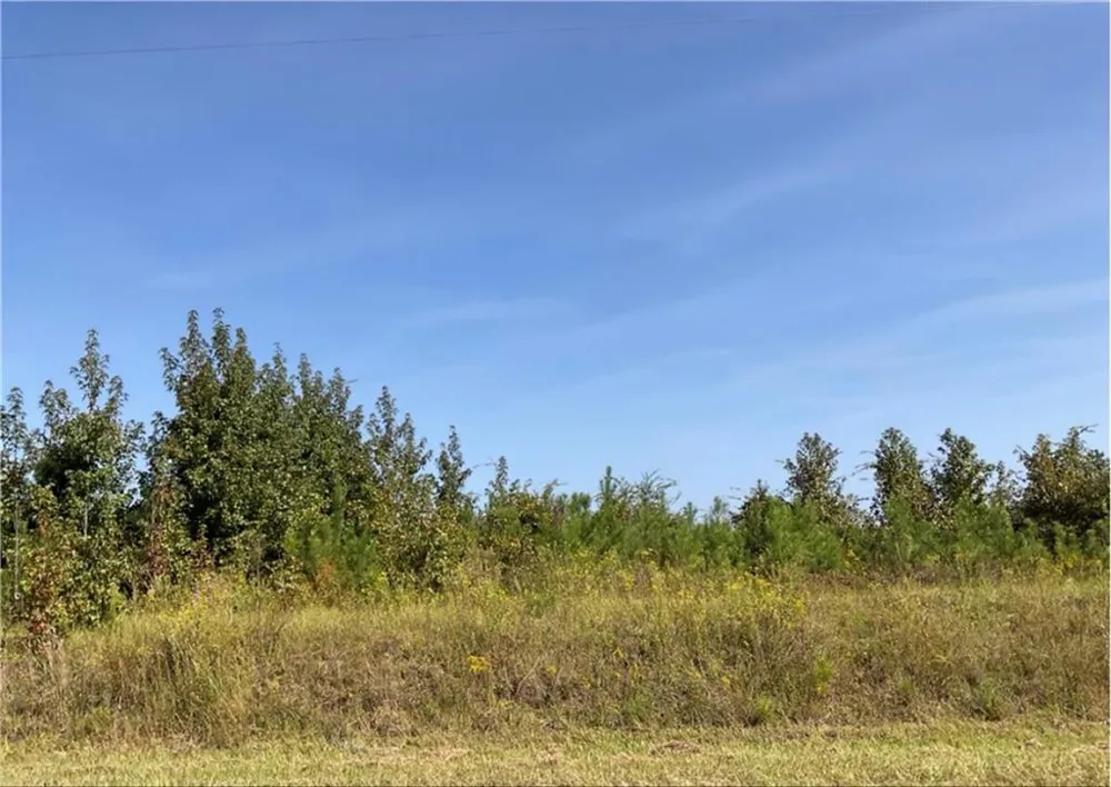 0 Old Balls Ferry Road Toomsboro, GA 31090
