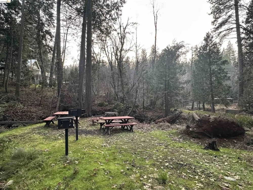 22895 S Fork Rd. Twain Harte, CA 95383