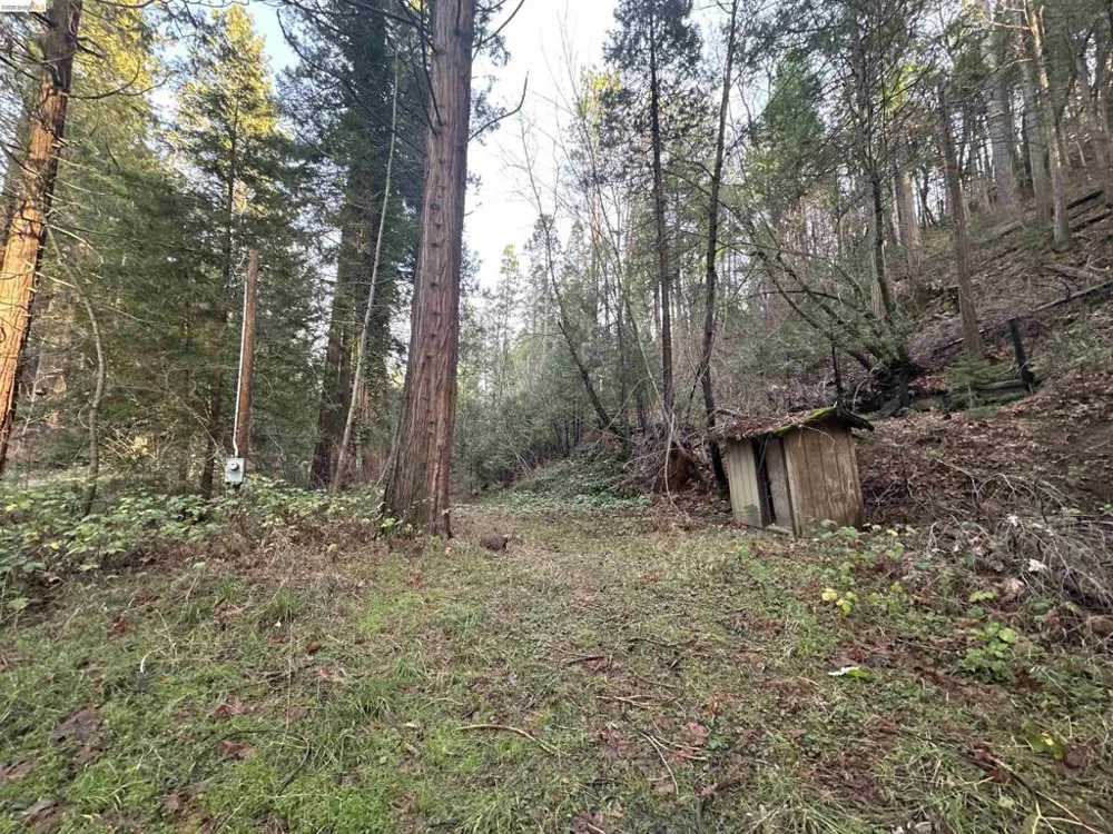 22895 S Fork Rd. Twain Harte, CA 95383