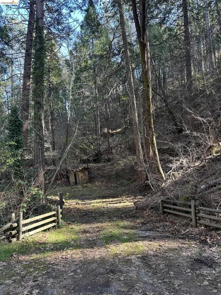 22895 S Fork Rd. Twain Harte, CA 95383