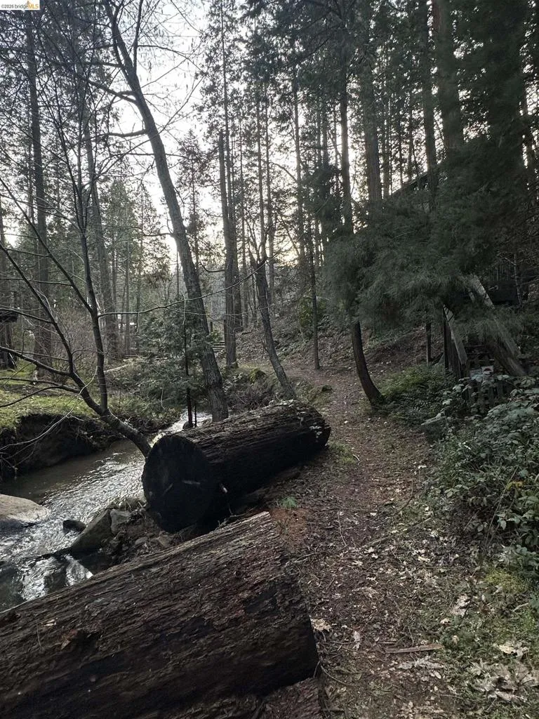 22895 S Fork Rd. Twain Harte, CA 95383