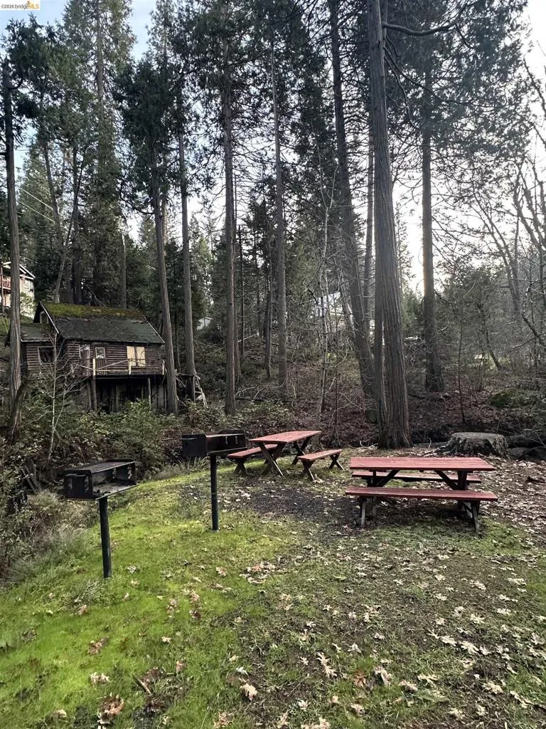 22895 S Fork Rd. Twain Harte, CA 95383