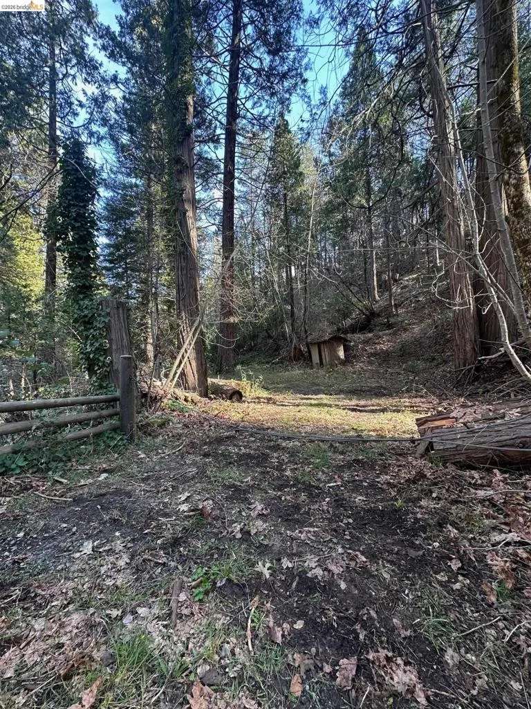 22895 S Fork Rd. Twain Harte, CA 95383