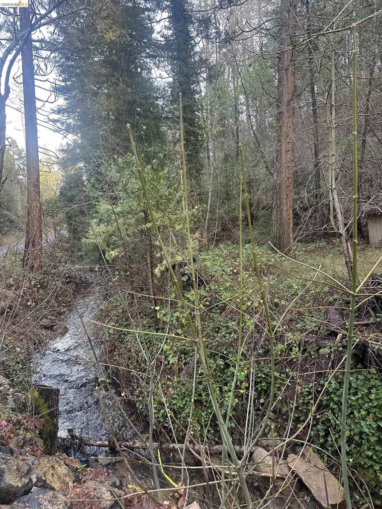 22895 S Fork Rd. Twain Harte, CA 95383