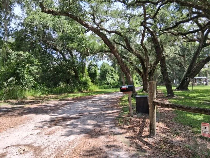10628 CR 771 Webster, FL 33597