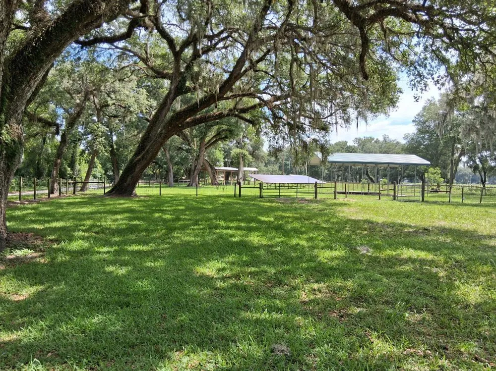 10628 CR 771 Webster, FL 33597