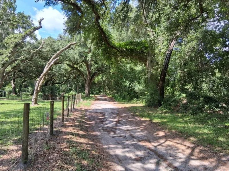 10628 CR 771 Webster, FL 33597