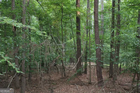 3 Mount Moriah RD