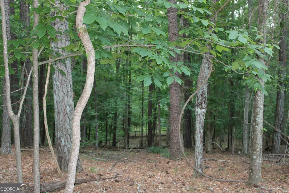 3 Mount Moriah RD Auburn, GA 30011