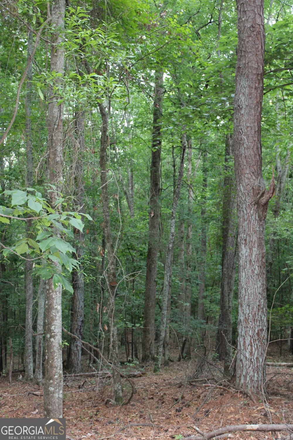 3 Mount Moriah RD Auburn, GA 30011