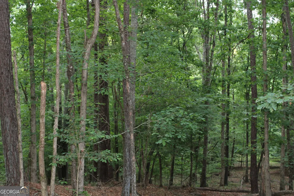 3 Mount Moriah RD Auburn, GA 30011