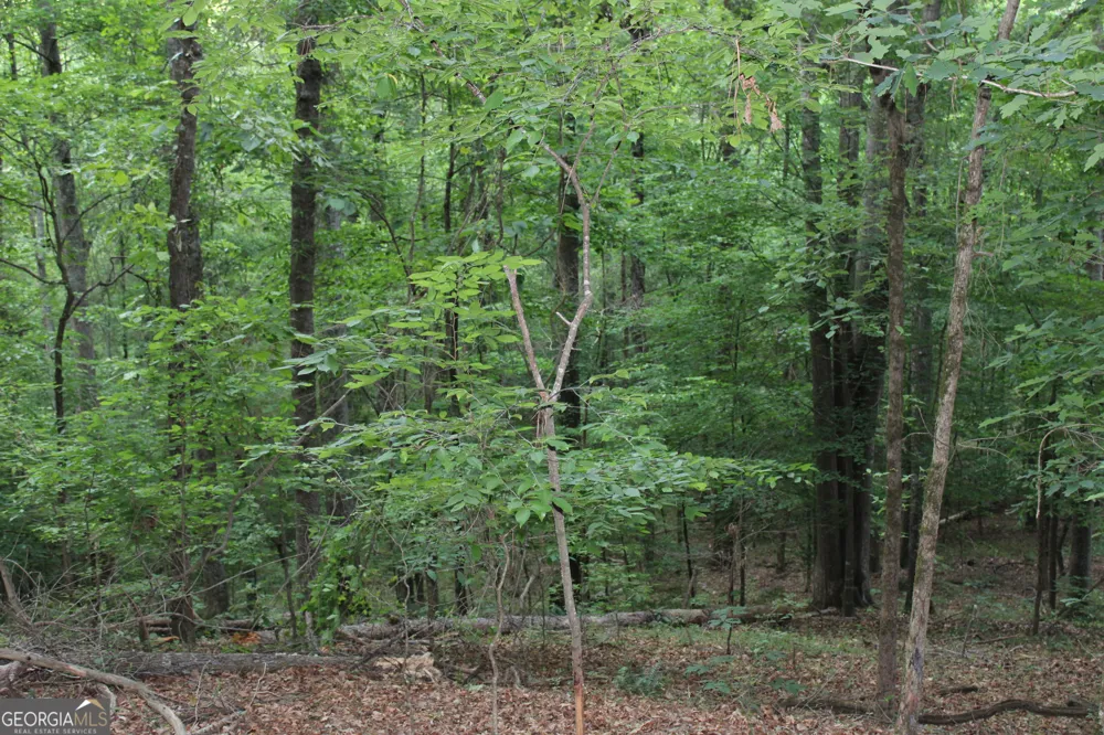 3 Mount Moriah RD Auburn, GA 30011