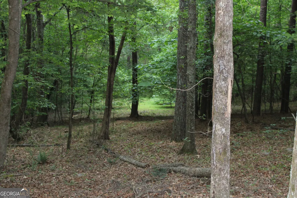 3 Mount Moriah RD Auburn, GA 30011