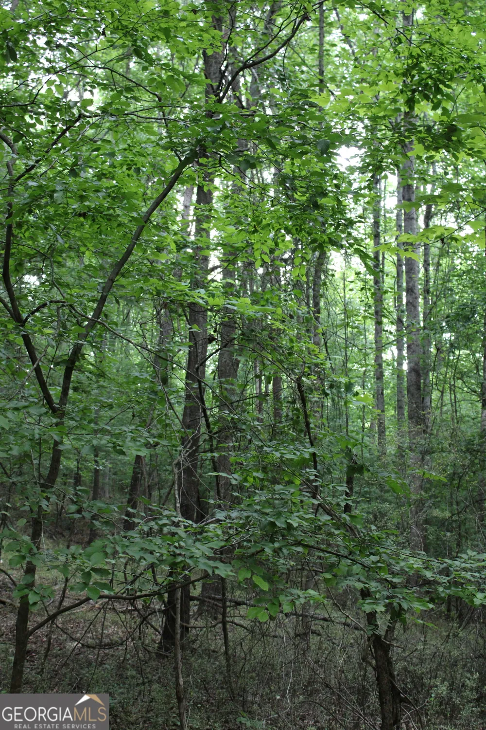 3 Mount Moriah RD Auburn, GA 30011
