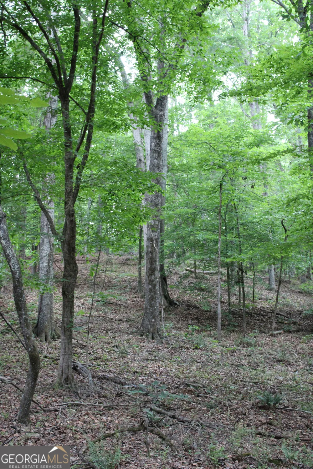 3 Mount Moriah RD Auburn, GA 30011