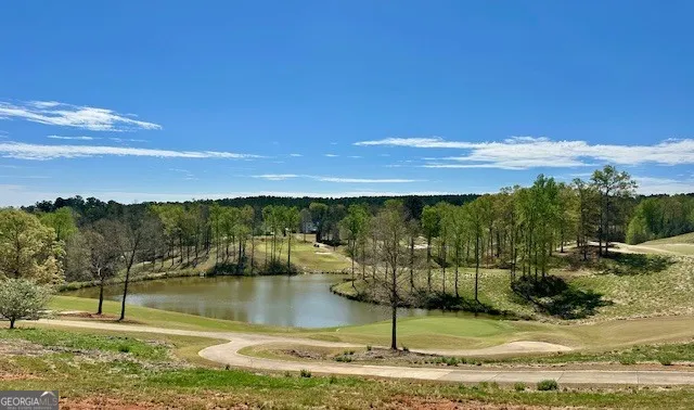 109 Heights AVE Forsyth, GA 31029
