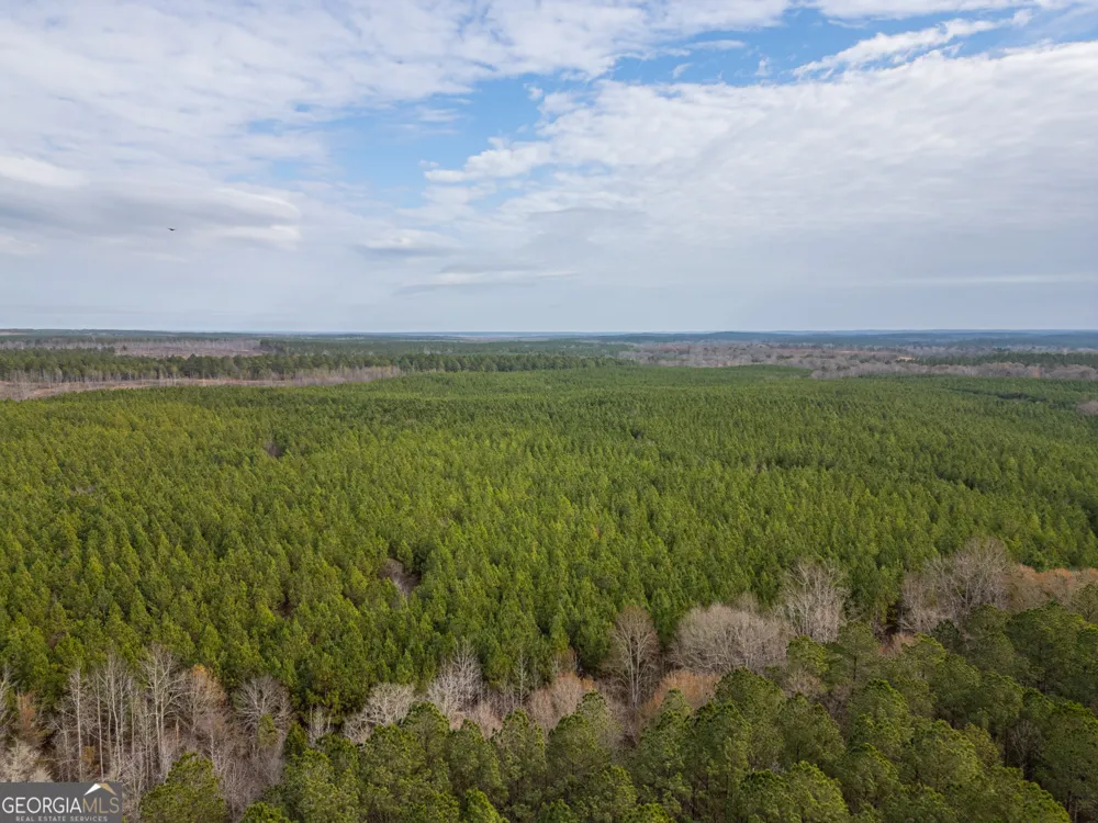 2 Smith Rocky Branch RD Carlton, GA 30627