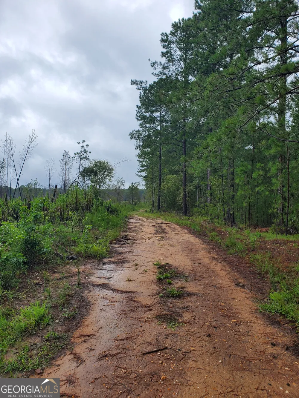 2 Smith Rocky Branch RD Carlton, GA 30627