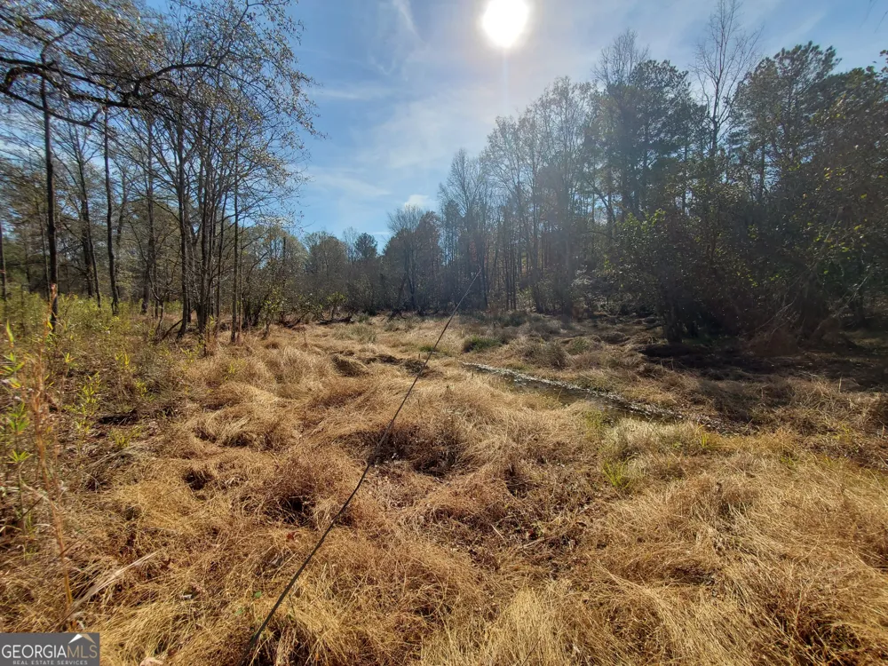 2 Smith Rocky Branch RD Carlton, GA 30627