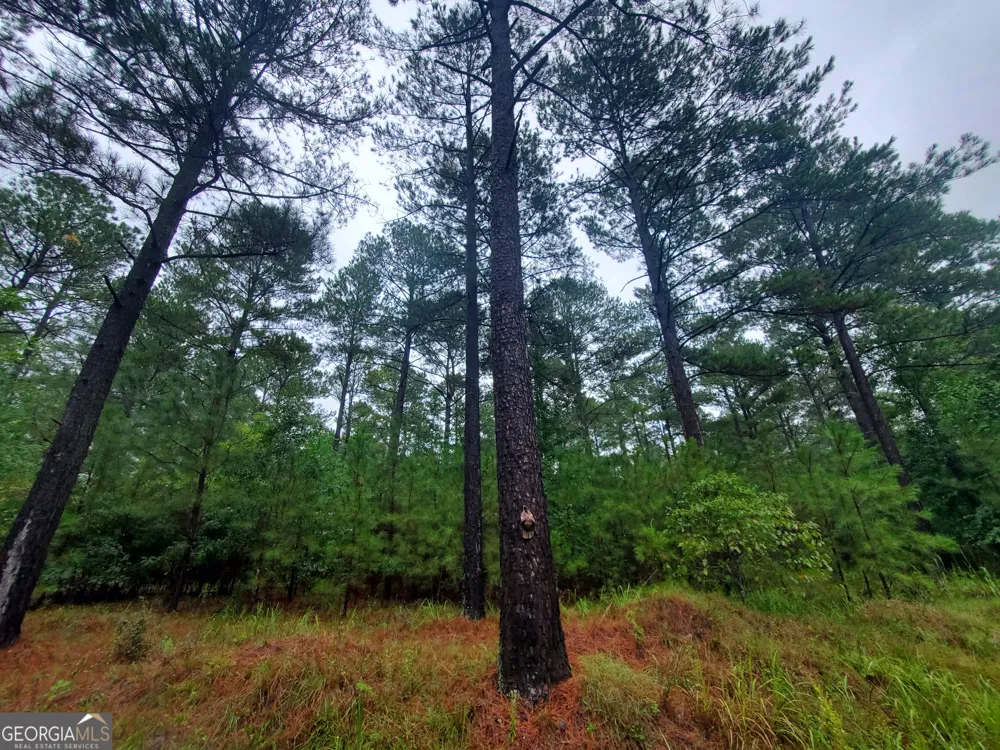 2 Smith Rocky Branch RD Carlton, GA 30627