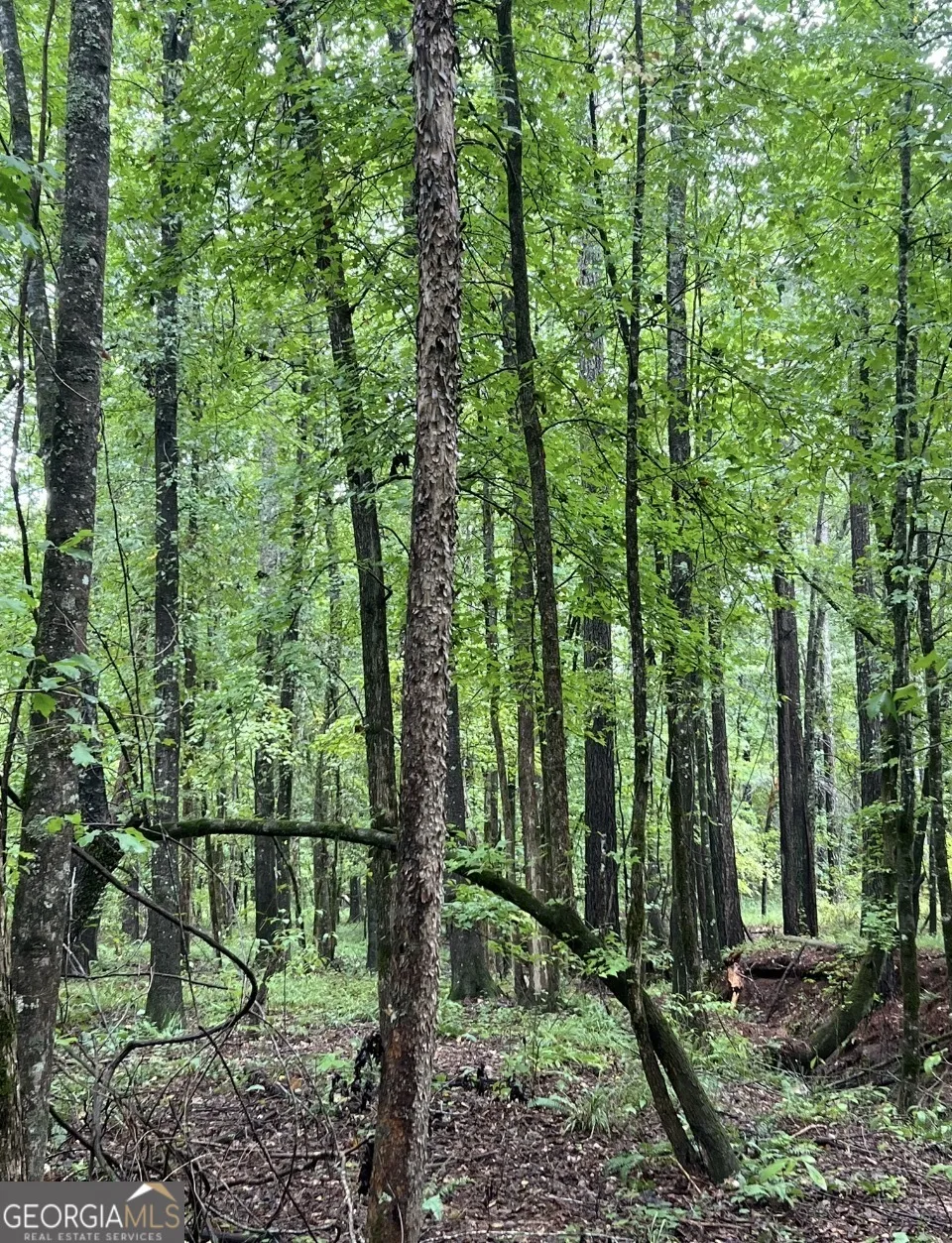 2 Smith Rocky Branch RD Carlton, GA 30627