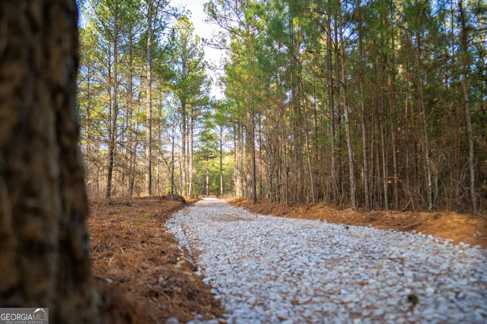 3 Smith Rocky Branch RD Carlton, GA 30627