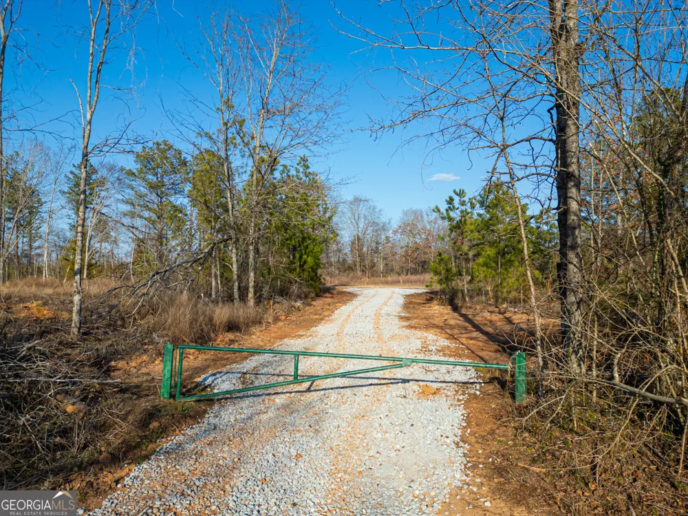 3 Smith Rocky Branch RD Carlton, GA 30627