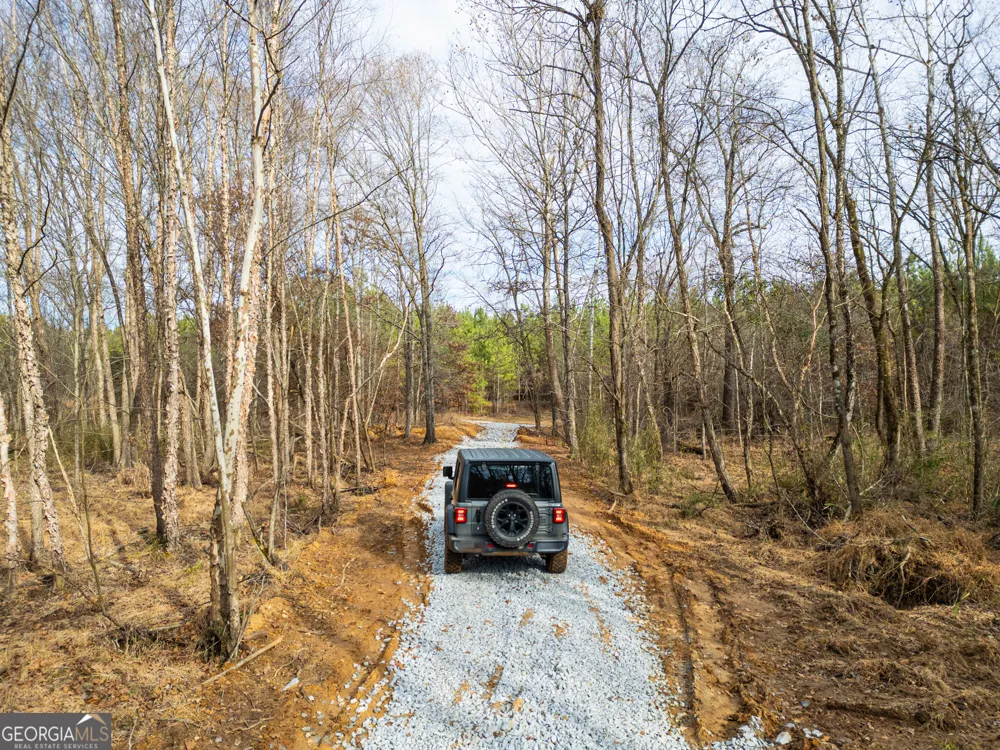 3 Smith Rocky Branch RD Carlton, GA 30627