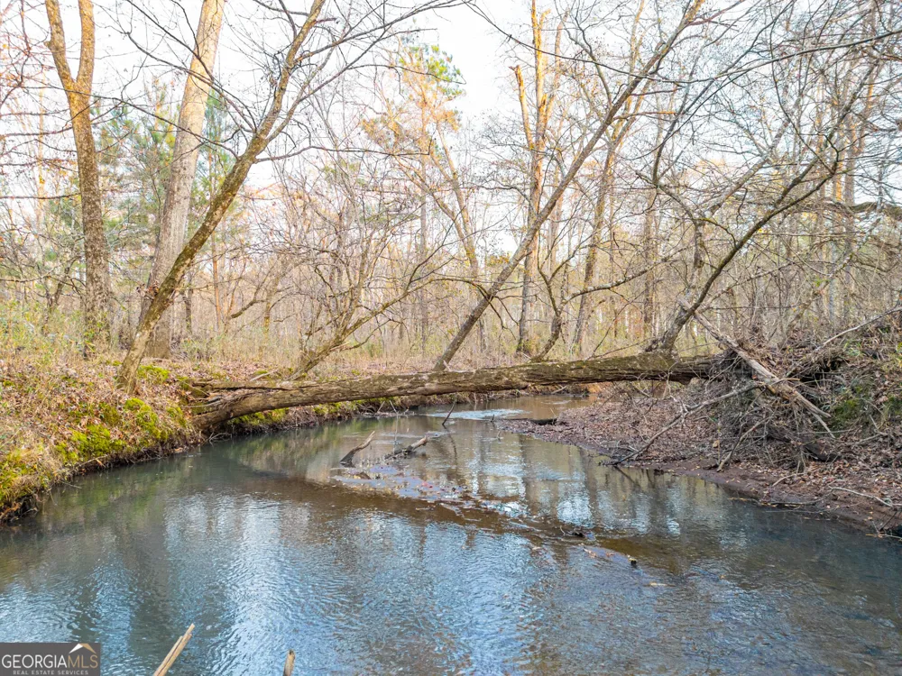 3 Smith Rocky Branch RD Carlton, GA 30627