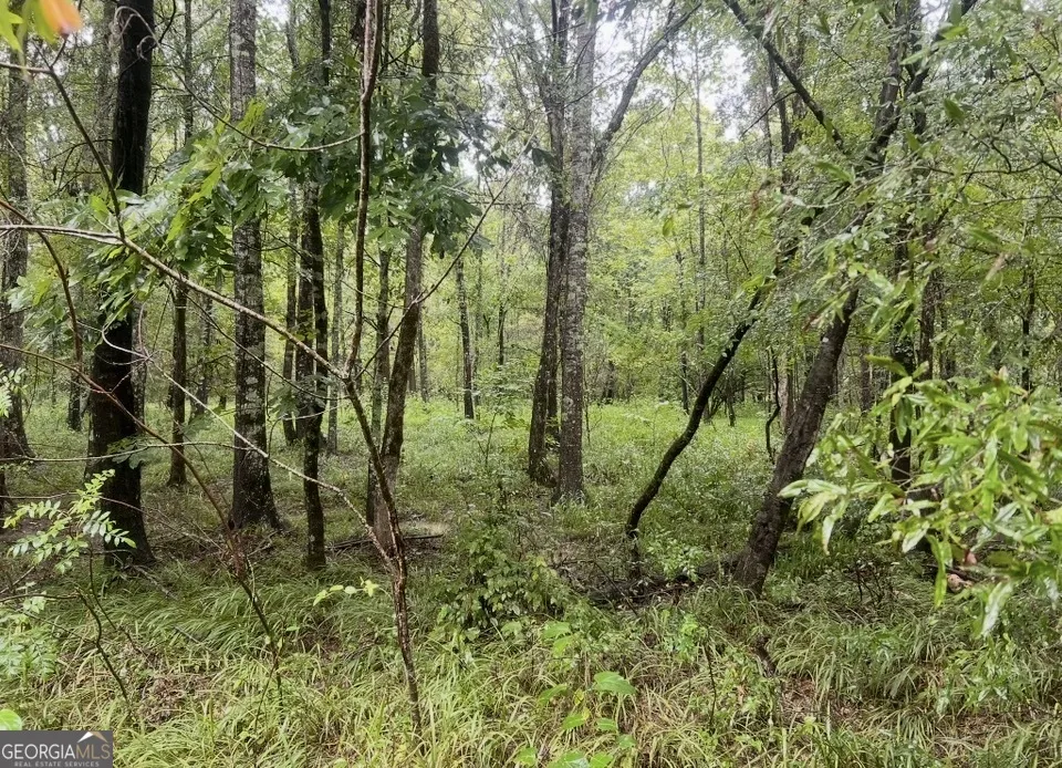 3 Smith Rocky Branch RD Carlton, GA 30627