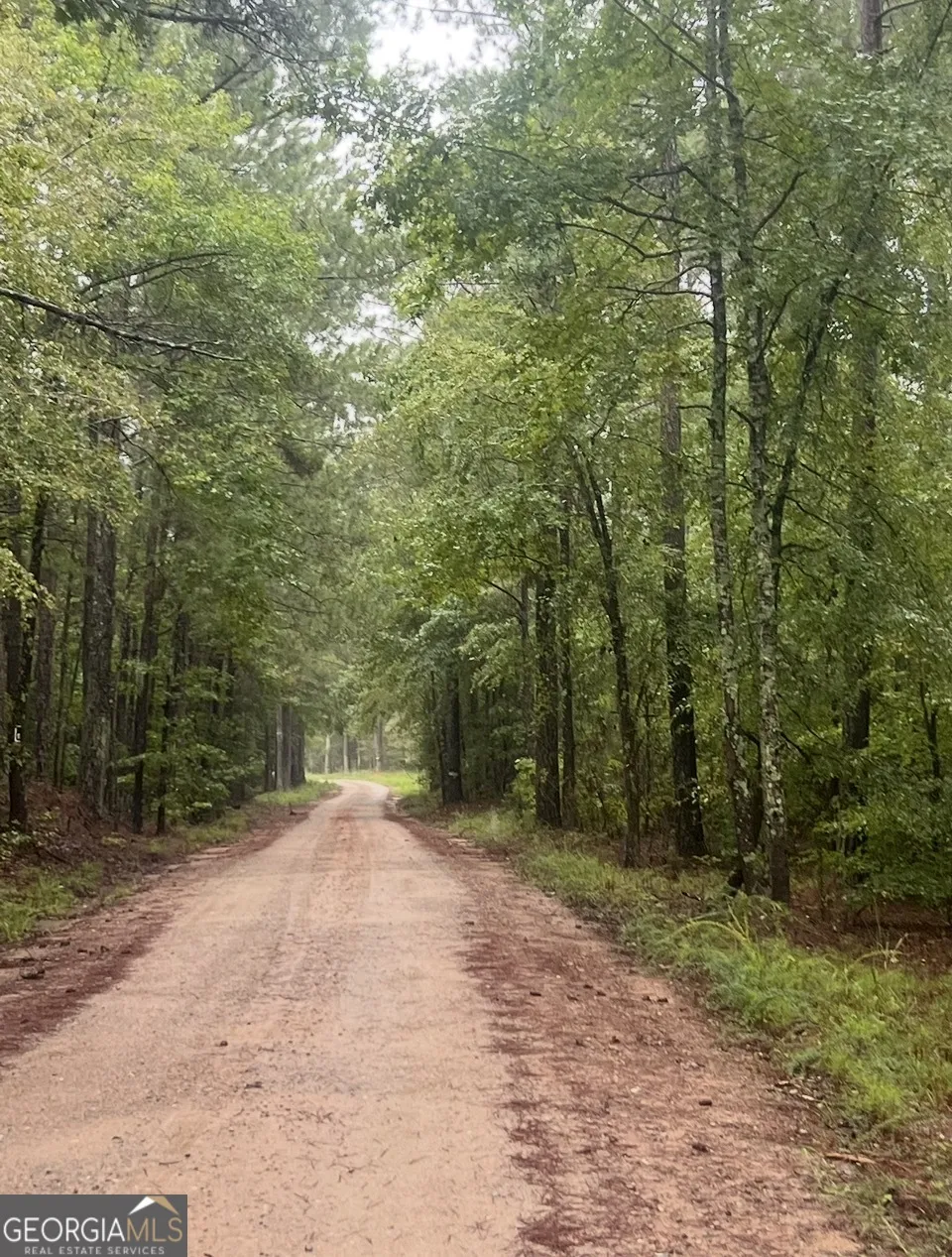3 Smith Rocky Branch RD Carlton, GA 30627