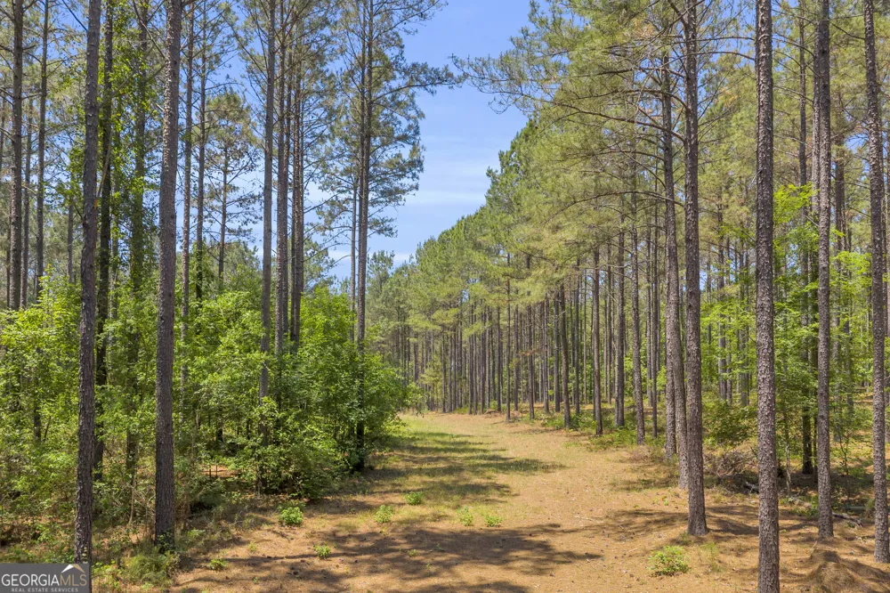 0 Hidden Harbor RD Lincolnton, GA 30817