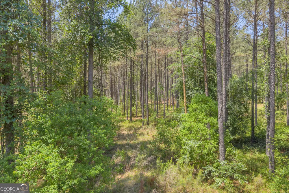 0 Hidden Harbor RD Lincolnton, GA 30817